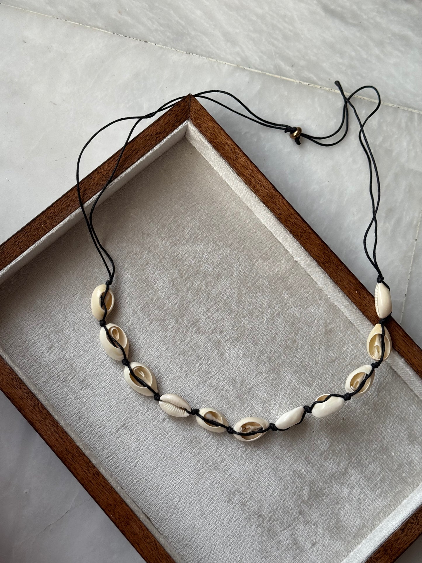 D125 SEA SHELL NECKLACE