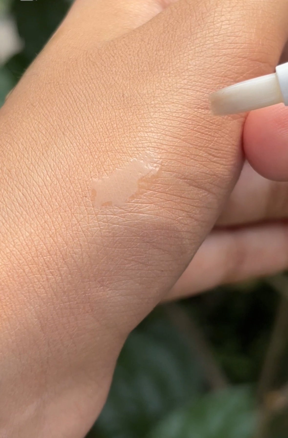 FANCY LIP OIL