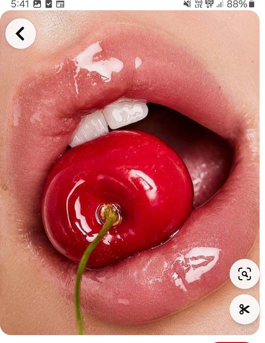 YELLOW FLOWER LIP OIL