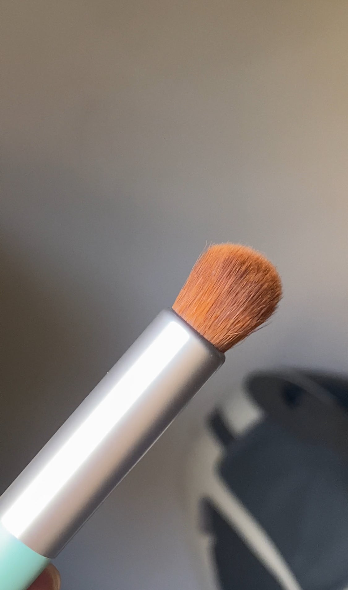 (D) MINTBEAR BLENDING BRUSH