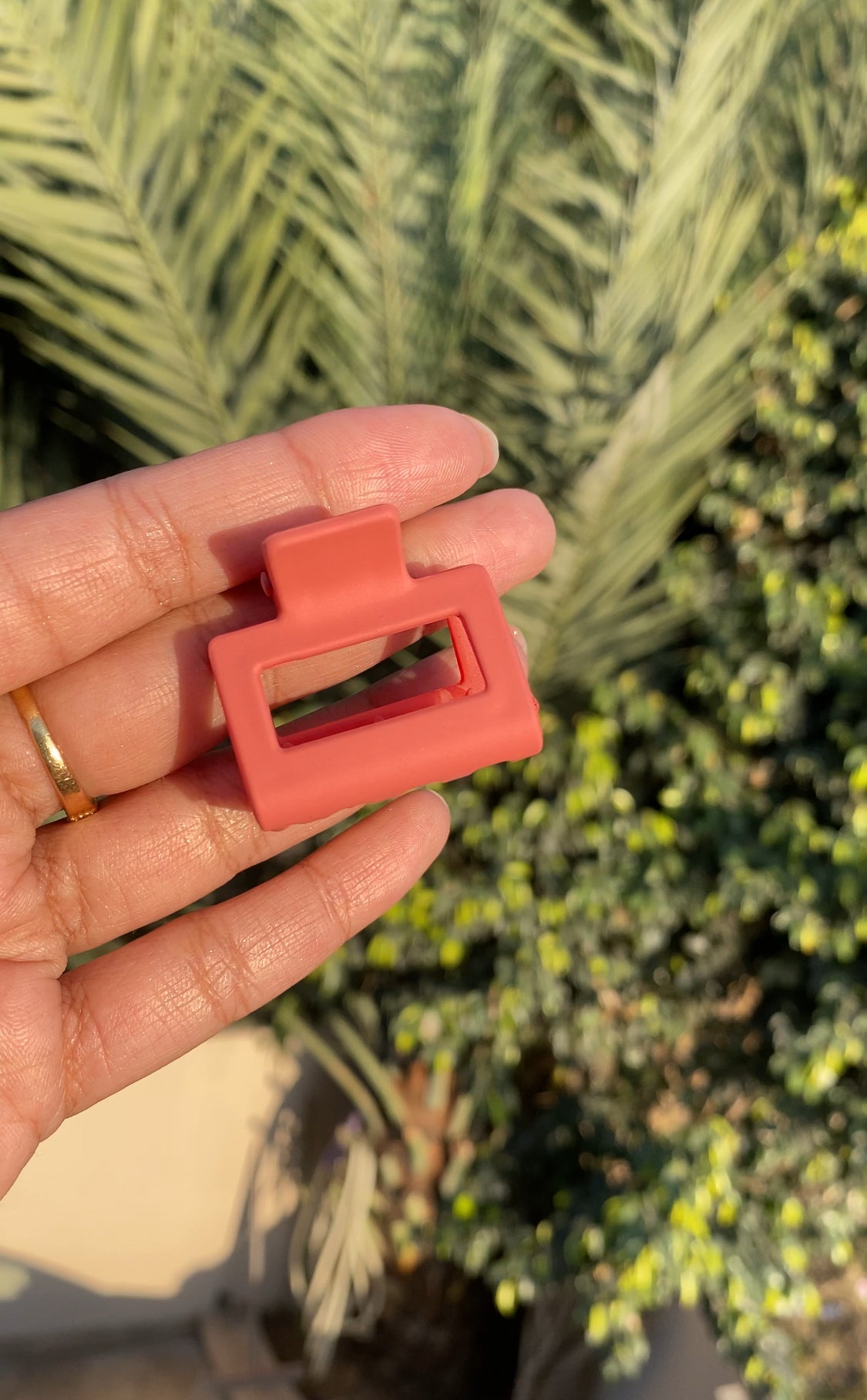 RECTANGULAR CLAW CLIPS