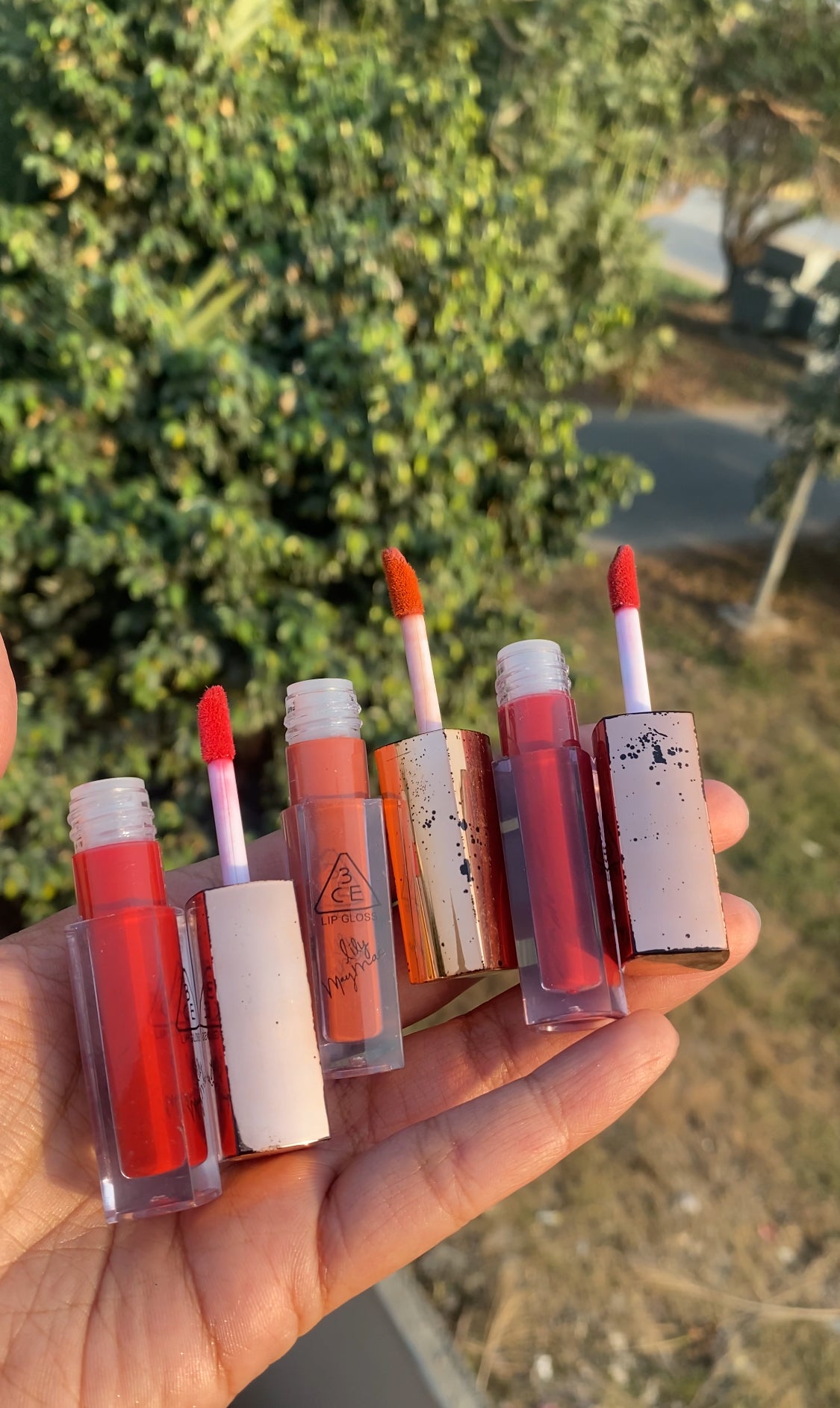 3CE LIP AND CHEEK SET