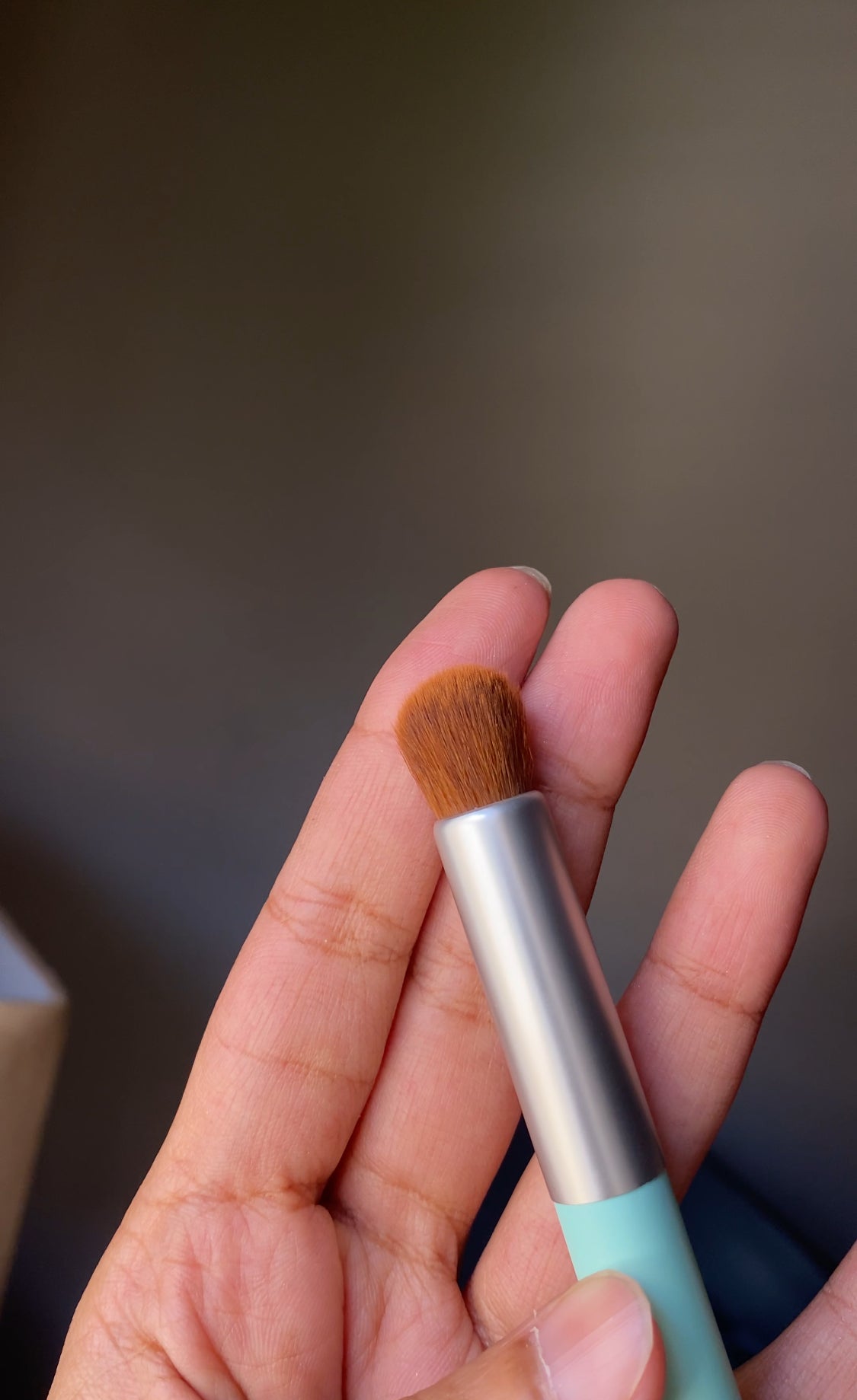 (D) MINTBEAR BLENDING BRUSH