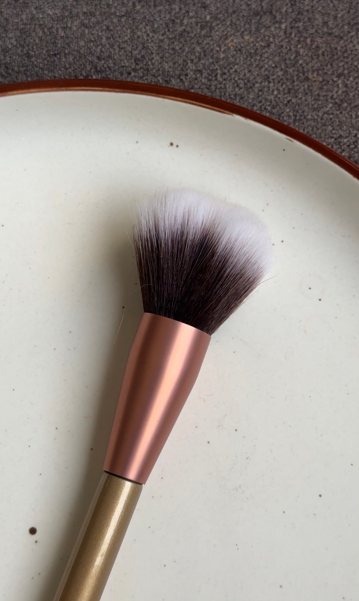 E301 BRUSH