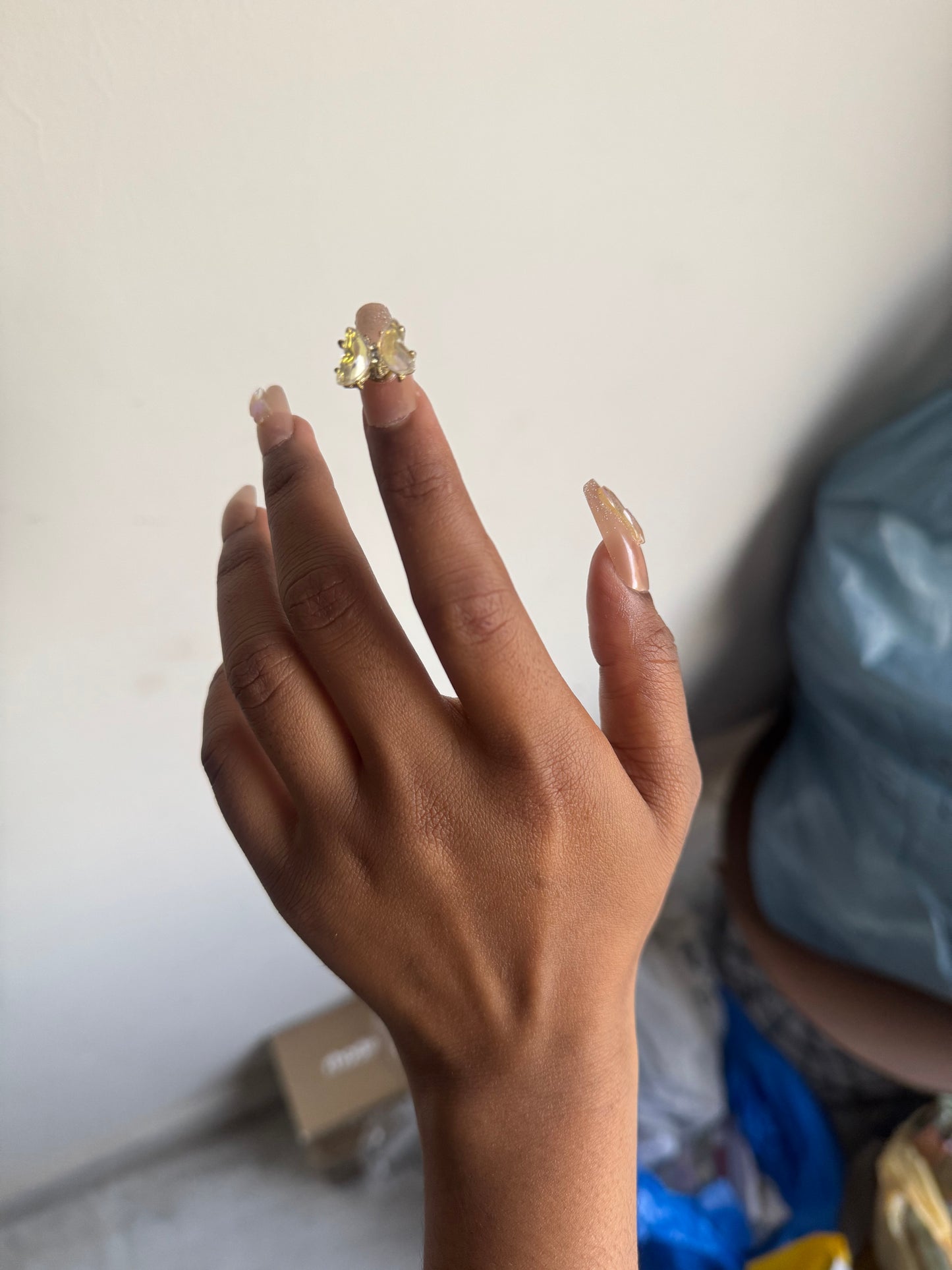 N1 BUTTERFLY FANCY NAIL SET