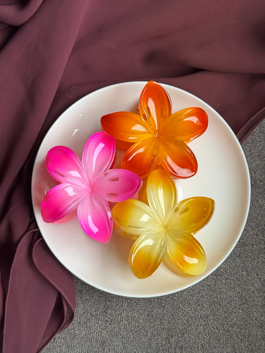 HAWAIAN HAIR CLAWS