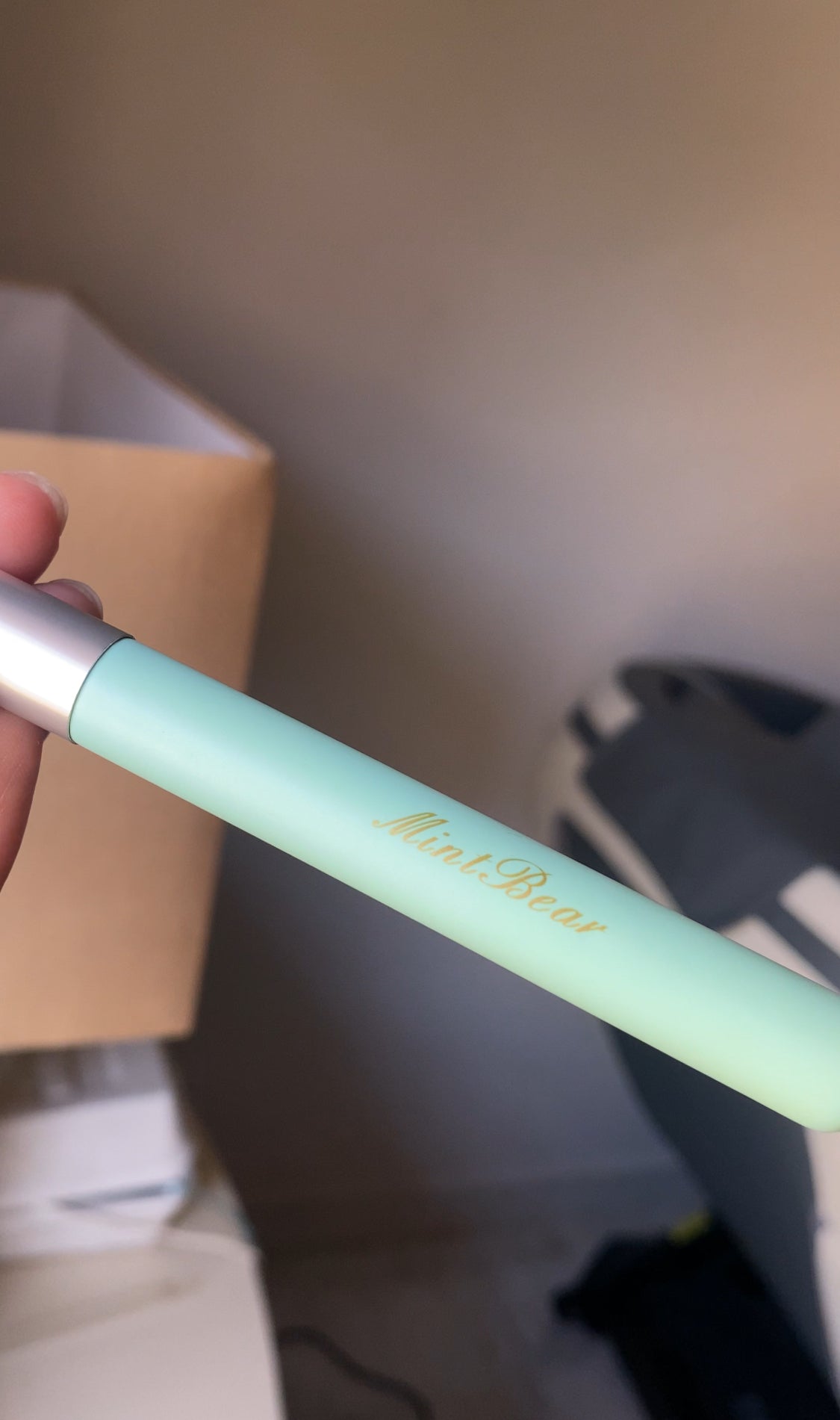 (D) MINTBEAR BLENDING BRUSH