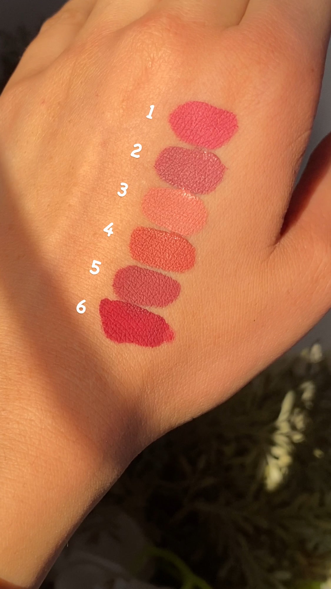 D PEIYEN MATTE LIPGLOSSES