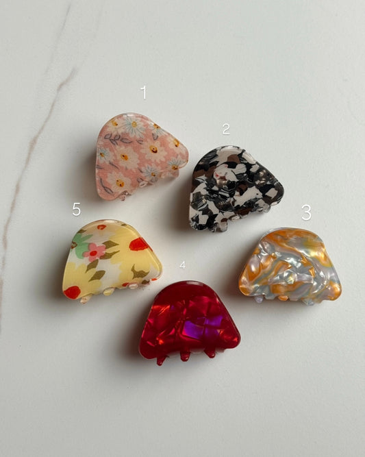 B113 RESIN HAIR CLAWS