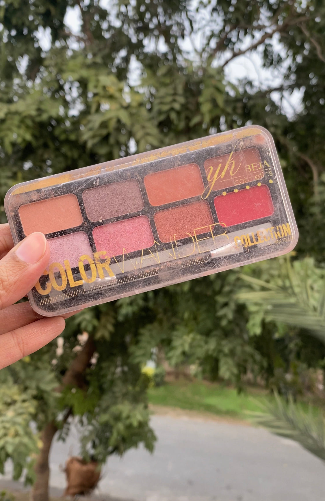 C45 YH BEJA BLUSH AND EYESHADOW PALETTE