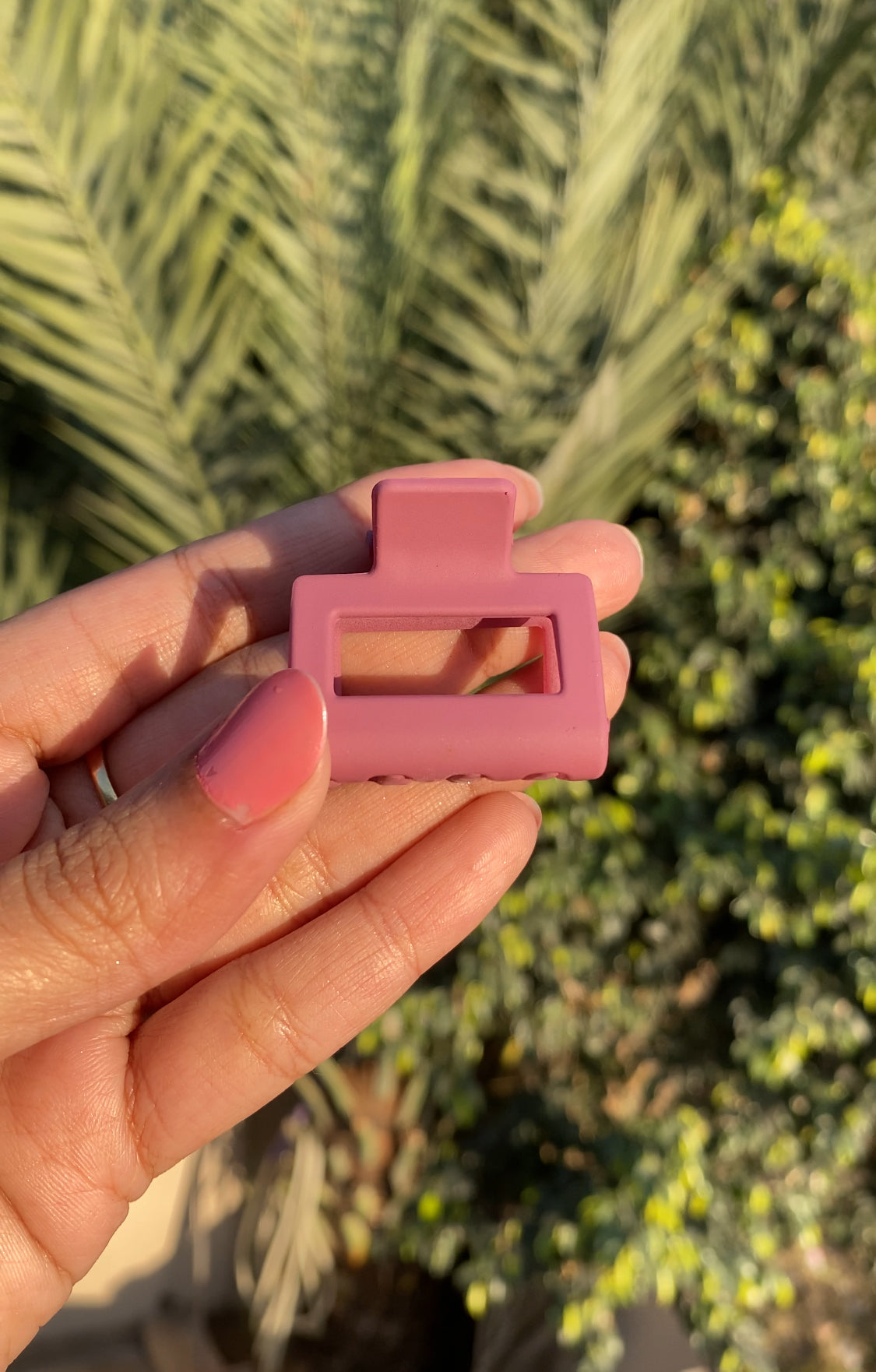 RECTANGULAR CLAW CLIPS