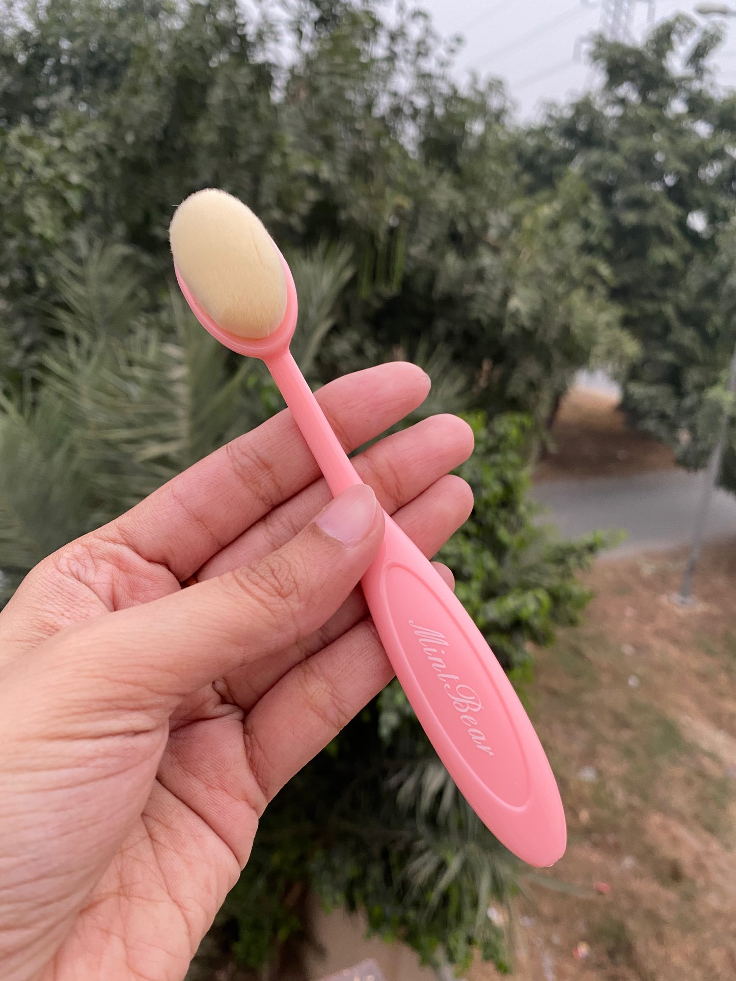 PINK MINT BEAR BRUSH